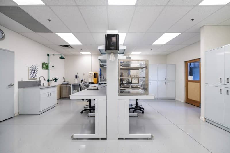 廣州食品實(shí)驗(yàn)室設(shè)計(jì)建設(shè) 廣州食品實(shí)驗(yàn)室設(shè)計(jì)建設(shè)