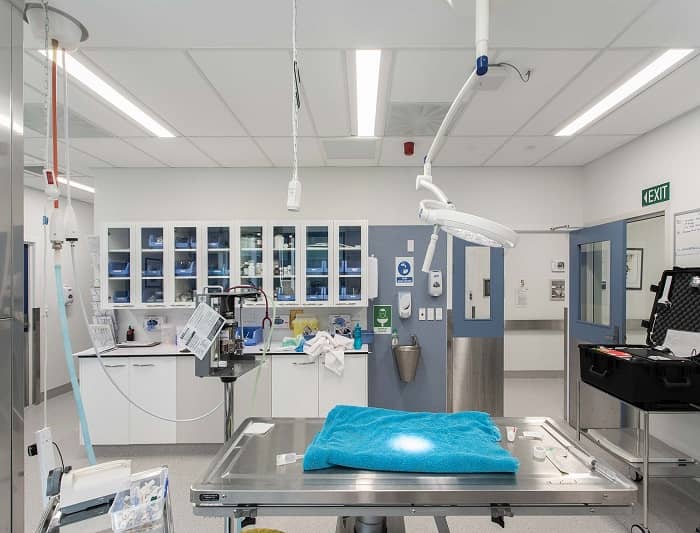 動物實(shí)驗(yàn)室SPF級環(huán)境打造：從籠架到氣流的20個(gè)關(guān)鍵細(xì)節(jié)