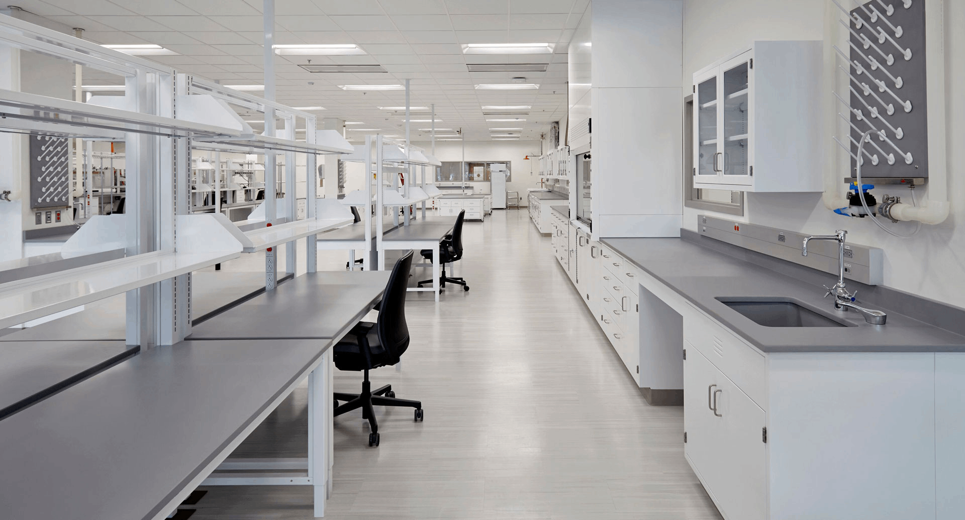 實驗室裝修中動物房的設計與環(huán)境控制要點